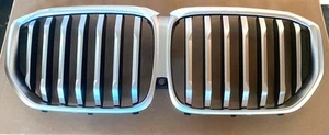 BMW G05 LCI X5 F95 LCi X5 M Front Silver Grille Brand New Genuine 51135A67CC5 - Picture 1 of 3