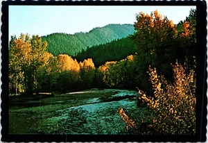 Rock Creek, Fly Fishing Stream MT POSTCARD - Picture 1 of 2