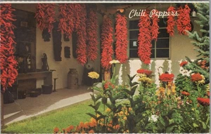Cartolina d'epoca New Mexico quasi nuova peperoncino fotocromatica di Petley 1971 - Foto 1 di 2