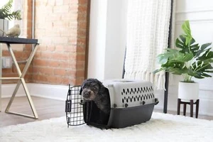 19" X-Small Plastic Pet Kennel Dog Crate Portable Carrier Pet Dog Cat Gray Black - Picture 1 of 12
