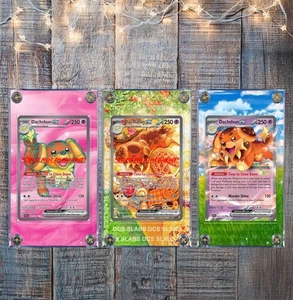 Pokemon Dachsbun EX SIR Corona Estelar 169/142 067, 160 Cartas Estuche de Exhibición Personalizado - Imagen 1 de 4