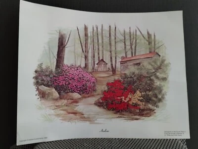 Impresión Larry Dodson Azaleas 1984 Foto 1 de 4