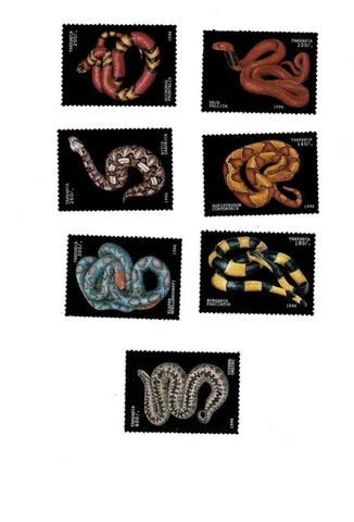 Tanzania 1996 Set of 7 Snake Stamps - MNH Cover