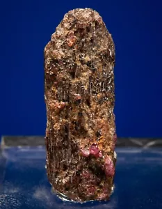 Painite, Kyauk Sin, near Mogok, Myanmar (formerly Burma), 1906-N462 - Picture 1 of 4