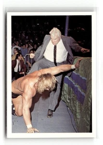 1988 Wonderama WCW NWA - J.J. Dillon / Lex Luger #303 - Bild 1 von 2
