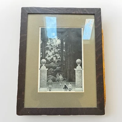 ANTIGUO CUARTO ASERRADO ROBLE TIGRE OSCURO ARTESANÍAS MARCO DE FOTOS CON VIDRIO Plano Foto 1 de 4