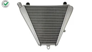 RADIATORE ACQUA RAFFREDDAMENTO INFERIORE PER DUCATI Panigale 1299 (2015-2018) - Picture 1 of 10