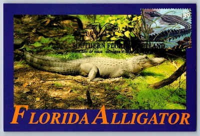 #4099i Southern Florida Wetland American Alligator FDC Maxi Card w/Pict Cancel - Image 1 of 2