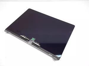 Apple LCD Screen Assembly for 15" MacBook Pro A1990 2018 19 Replacements MV922LL - Picture 1 of 5