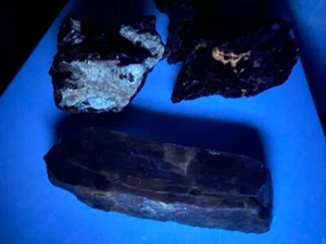 PETRIFIED WOOD AGATIZED GEM AGATE JASPER ROCKS FLUORESCENT LAPIDARY ROUGH STONED - Picture 1 of 24