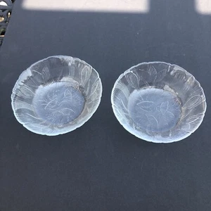 2 cuencos de cereales Arcoroc Canterbury de 6" transparentes florales azafrán grabado cristal Francia - Imagen 1 de 9