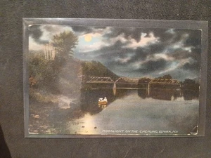 Moonlight on the Chemung, Elmira, NY  - Picture 1 of 2