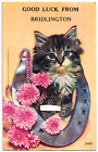 Mailing Novelty Bridlington Yorkshire Fold Out Photos Postcard Cat Kitten 1960s