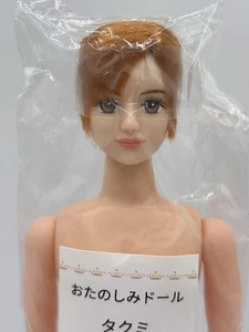 LICCA CASTLE Fashiondoll M6158 11,81 Zoll/30 cm JENNY Freund TAKUMI OOAK Fun Doll - Bild 1 von 5