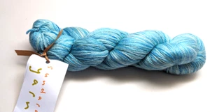 Sundara teñida a mano de madeja única 50 % merino 50 % seda - huevo de Robin - Imagen 1 de 2