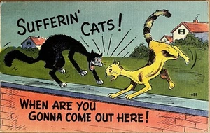 Alley Cats Fight on Brick Wall Comic Humor Postcard c1940 - Picture 1 of 4
