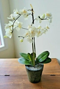 Artificial Orchid 2 Stem Plant In A Green Pot Home Decor - Picture 1 of 6