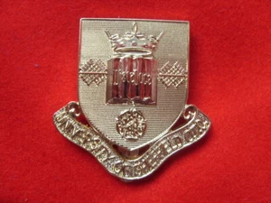 CAP BADGE OTC - SHEFFIELD  UNIVERSITY  BERET UOTC UK ARMY  - Picture 1 of 2
