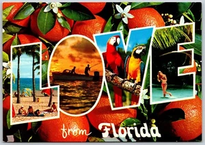 Postcard Love from Florida Large Letter Greeting Continental - Picture 1 of 2