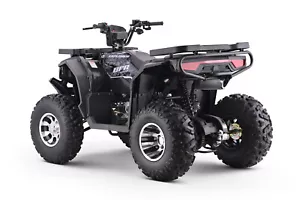 BFR Explorer Quad Bike 250cc 10" Alloy Adult - Picture 1 of 9