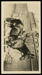 Lambert & Butler - 'The World of Sport' (1927) - Bronchq - Picture 1 of 2