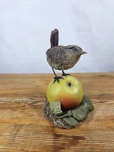 ESCULTURAS DE ARDEN CHRISTOPHER HOLT WREN EN MANZANA PÁJARO FIGURA ORNAMENTO PINTADO A MANO - Imagen 1 de 18