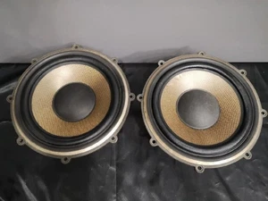 DIATONE PW-2706BM Par de unidades woofer para DS-1000HR Salida de sonido confirmada - Imagen 1 de 6