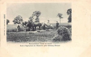 Suisse - HAUTERIVE (FR) Ecole d'agriculture - Moissonneuse lieuse au travail - E - Imagen 1 de 2