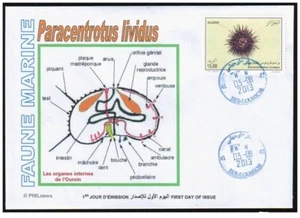 ALGERIA 2013 - FDC - Sea fauna - Marine - Oursin - urchin - pilluelo - Seeigel - Picture 1 of 1