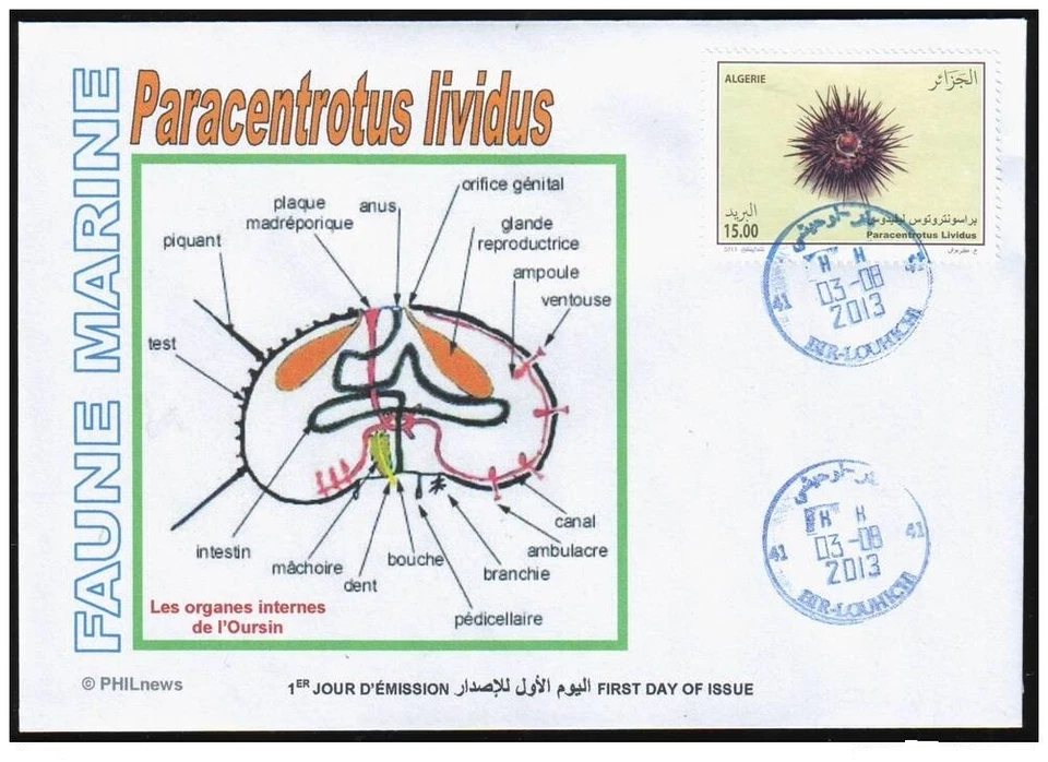 ALGERIA 2013 - FDC - Sea fauna - Marine - Oursin - urchin - pilluelo - Seeigel - Image 1 of 1