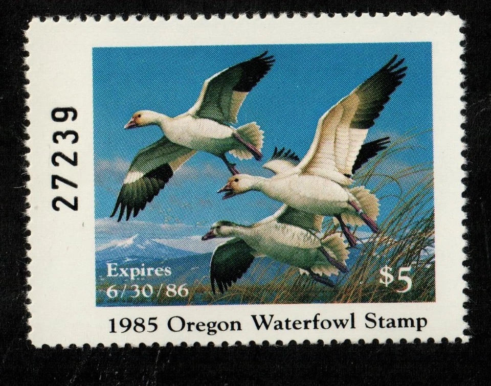 1985 $5.00 Oregon State Duck MNH Free Shipping in the USA!! - Image 1 of 1