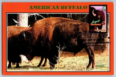 #4041 Wonders of America Largest Mammal Bison FDC Maxi Card w/Pictorial Cancel - Image 1 of 2