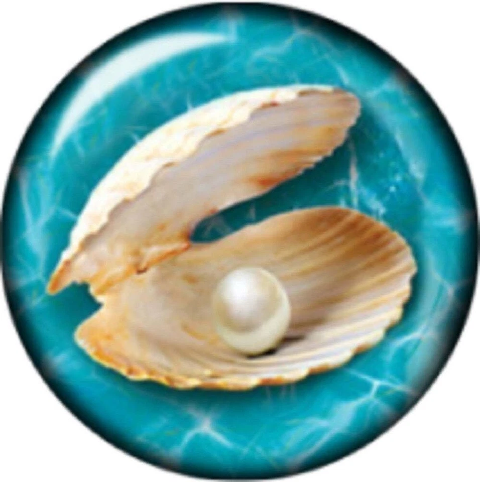 Snap button Picture pearl in a clam shell 18mm Cabochon chunk charm - Image 1 of 1