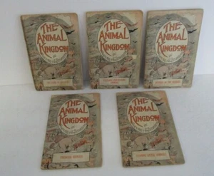 ANIMAL KINGDOM In Pictures & Stories Lot of 5; Freakish Animals etc., 1916 - Picture 1 of 8