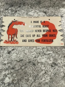 Postal de recuerdo de colección del lago Okoboji, IA - Imagen 1 de 4