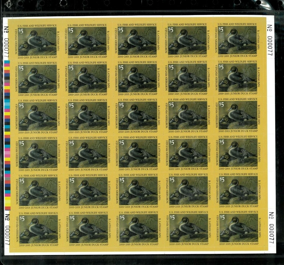 JUNIOR DUCK STAMP #8 2000 FULL SHEET BY B. LATHHAM LOW WHOLESALE PRICE - Image 1 of 1