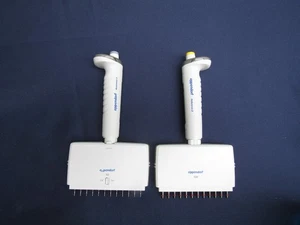 2 Eppendorf Reference 2 verstellbare 0,5-10 & 10-100μL Volumen 12 Kanal Pipetten - Bild 1 von 7