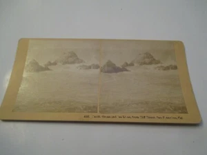San Francisco California Pacific Ocean Sea lions from Cliff hous Stereoview Card - Picture 1 of 3