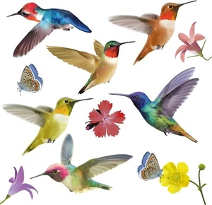 12 Pcs Large Hummingbird Window Clings Anti-Collision Prevent Bird Strikes - Picture 1 of 8