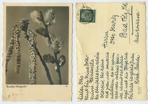 73397 - Gatito de mimbre - Pascua - Postal, usada Colonia-Kalk 16.4.1939 a Bad Tölz - Imagen 1 de 1