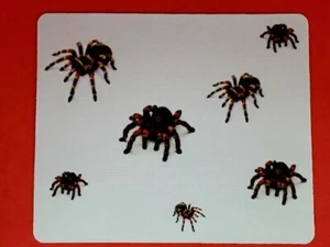 Tarantula Sublimated Full Color Mouse Pad - Picture 1 of 1