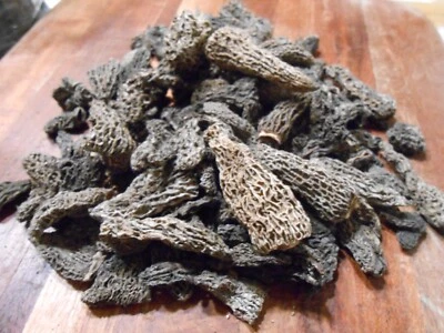 20g A Grade Dried Morel Mushrooms (BEST PRICE GUARANTEED) - Image 1 of 4