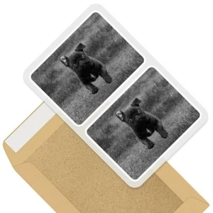 2 x Rectangle Stickers 10cm BW - Playful Black Pug Dog Puppy Running #37635 - Afbeelding 1 van 9