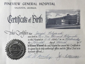 Pine General Hospital Birth Cert Joseph Palczwski Regina Jankowski 1959 Georgia - Picture 1 of 9