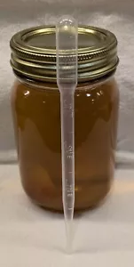 *READY TO FEED* LIVE VINEGAR EELS, HUGE Mature 16Oz Culture Easy Fast Fry Food - Picture 1 of 3