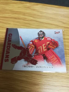 DEL 12/13 Guardians Bobby Goepfert Düsseldorfer EG - Bild 1 von 2