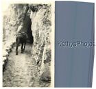 Found B&W Photo G_8753 Man On A Horse Riding Into A Cave / Tunnel