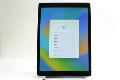 iPad Pro 12.9" 1st Gen, 256GB, Wi-Fi Only, Space Gray, NL0T2LL/A - Image 1 of 4