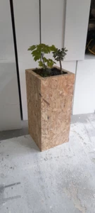 Pflanzsockel,, OSB3 Sonderanfertigung, 900 mm x 400 mm x 400 mm Ausstellungsgalerie - Bild 1 von 7