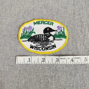 Vintage 3.5" x 2.25" Oval Patch Patches Mercer Wisconsin Duck - Picture 1 of 2